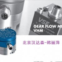 VSE  VHM系列VHM 01–2流量計(jì)