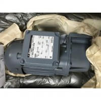 德國Bauer電機BS03-63L/D07LA4技術(shù)資料