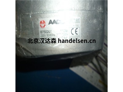 意大利AACO異步電動機(jī)/電動泵50 - 100系列