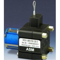 ASM傳感器ASM WS10SG型號(hào)簡介