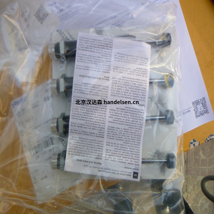 德國(guó)Weforma旋轉(zhuǎn)阻尼器wsk-m1.1-99用于食品行業(yè) 22805 (1)_副本