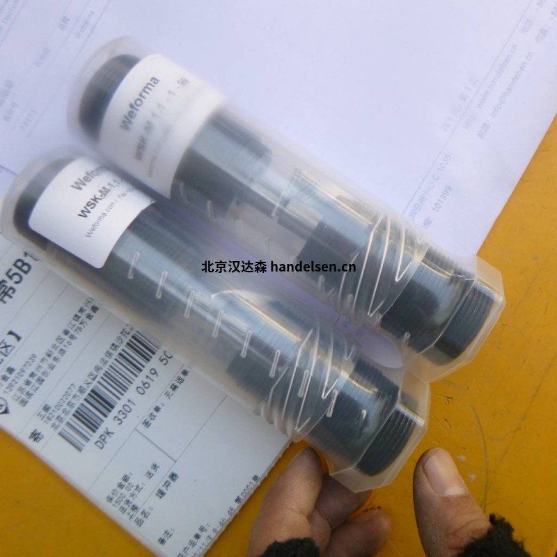 Weforma工業(yè)減震器 22573 (1)