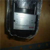 瑞士Bucher hydraulics電機泵服務(wù) QXEM 的內(nèi)部齒輪單元
