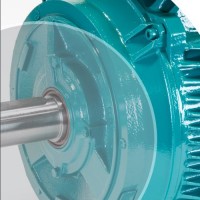 供應(yīng)英國(guó)原廠布魯克Brook Crompton W鑄鐵電機(jī)