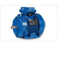 CEMP-IEC 危險區(qū)域電機(jī)-E3AB 30r 80 MA4技術(shù)資料