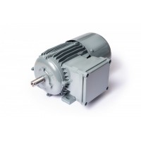 HEW 制動電機(jī)2極類型