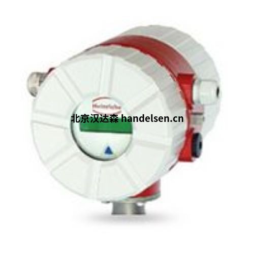 進(jìn)口德國heinrichs messtechnik TM高壓質(zhì)量流量計(jì)