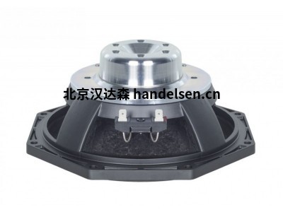 意大利進(jìn)口B&C Speakers低頻驅(qū)動器8BG51