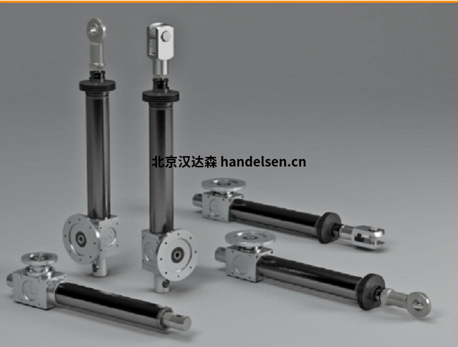 德國DZ TRASMISSIONI驅(qū)動器執(zhí)行器 德國DZ TRASMISSIONI驅(qū)動器執(zhí)行器
