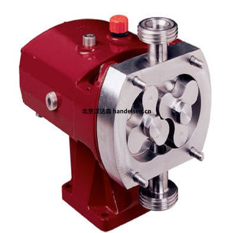 SSP Pumps 258fa82dec