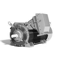 Brook Crompton 高輸出功率電機W系列，輸出功率160kW到4000kW