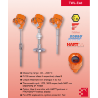Heinrichs 電阻溫度計(jì)TWL系列，用于液體、固體和氣體的測(cè)量
