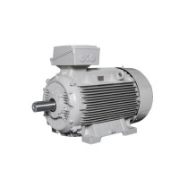 Lammers防爆電機 型號1TZ9002-0BA6效率等級：IE2、IE3