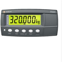 RINSTRUM稱(chēng)重顯示器R320-K342A特點(diǎn)介紹