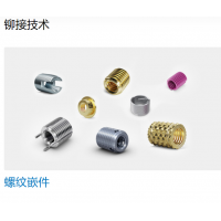 Bossard 提供多種不同類(lèi)型的螺母，墊圈，螺釘，鉚釘?shù)染o固件