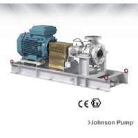 Johnson Pump 重型流程泵，適合化工/石化工業(yè)、煉油廠和一般工業(yè)應(yīng)用