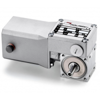 Mini Motor 蝸輪蝸桿直流減速電機(jī)BC2000-24MP，永磁直流電，全封閉