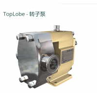Johnson Pump TopLobe轉(zhuǎn)子泵，有12 種不同的尺寸可供選擇