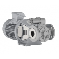 Johnson Pump 內(nèi)嚙合齒輪泵，適用于中等粘度、清潔和非磨蝕性液體