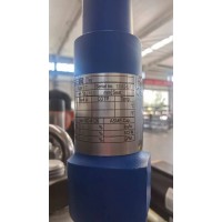 德國LESER 4373.2604用于液體應用的安全閥液化天然氣和液化石油氣行業(yè)