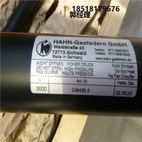 德國Hahn Gasfedern不銹鋼拉伸彈簧G08-19ST-28995國內現(xiàn)貨