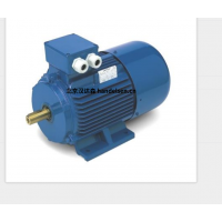 意大利 OEMER 異步電機(jī) MTES3 系列：高效驅(qū)動，賦能工業(yè)新動能